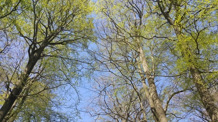 Springspiration2.jpg