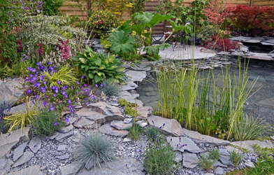 4 water garden.jpg