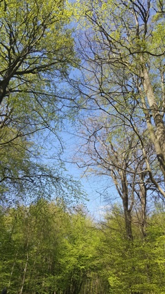 Springspiration4.jpg