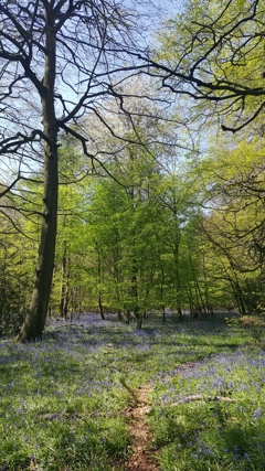 Springspiration3.jpg
